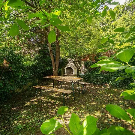 Pier Séjour chez l'habitant *